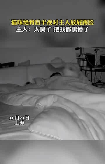 猫咪绝育后半夜偷偷放屁踢主人脸 这是咋情况？