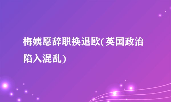 梅姨愿辞职换退欧(英国政治陷入混乱)