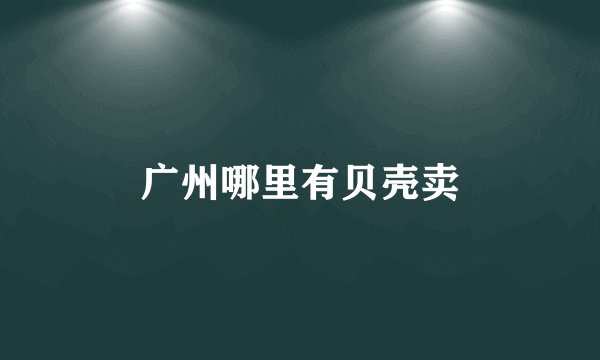 广州哪里有贝壳卖