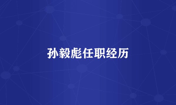 孙毅彪任职经历