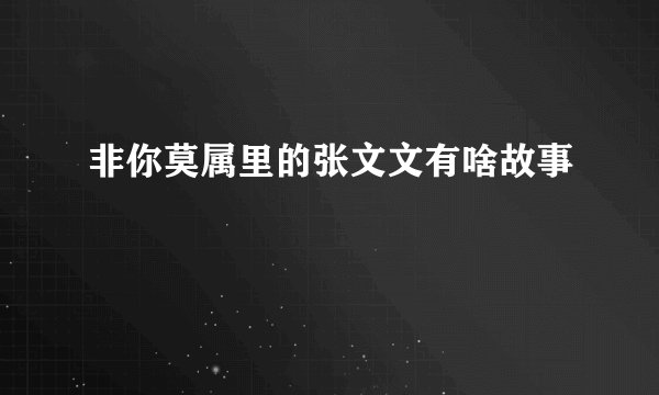 非你莫属里的张文文有啥故事