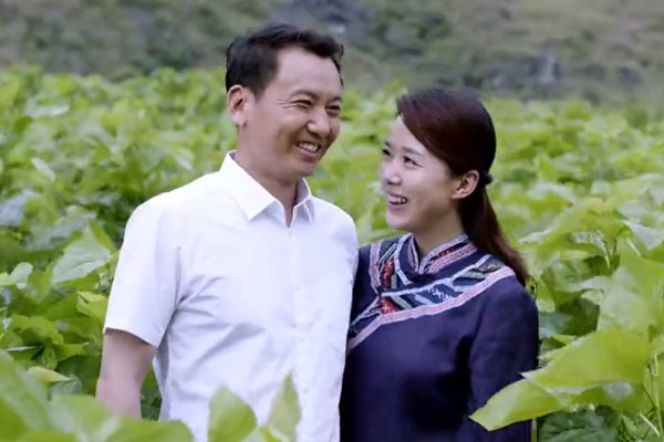 狂飙支队电视剧演员表