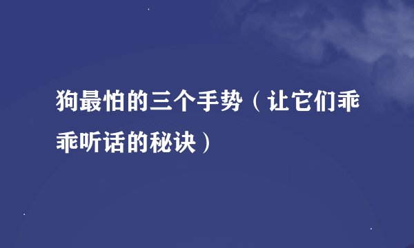 狗最怕的三个手势（让它们乖乖听话的秘诀）
