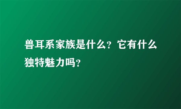 兽耳系家族是什么？它有什么独特魅力吗？