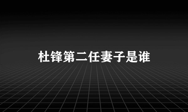 杜锋第二任妻子是谁