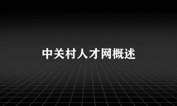 中关村人才网概述