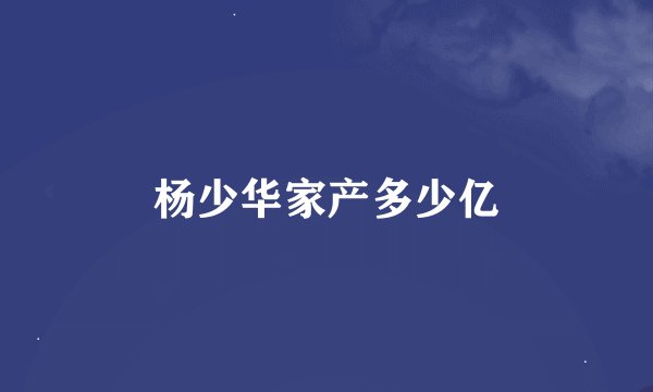 杨少华家产多少亿