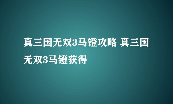 真三国无双3马镫攻略 真三国无双3马镫获得