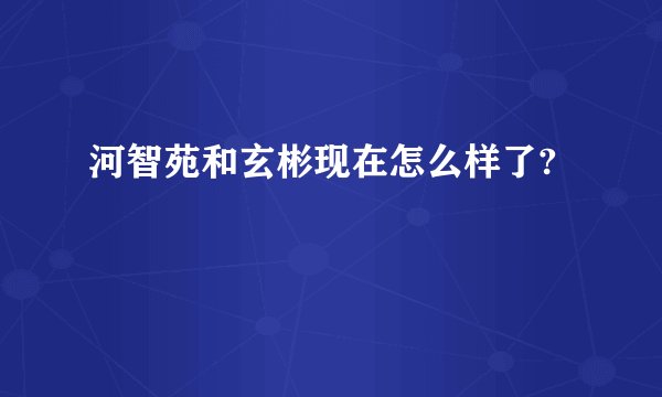 河智苑和玄彬现在怎么样了?