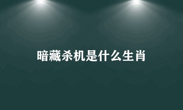 暗藏杀机是什么生肖