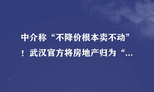 中介称“不降价根本卖不动”！武汉官方将房地产归为“困难行业”