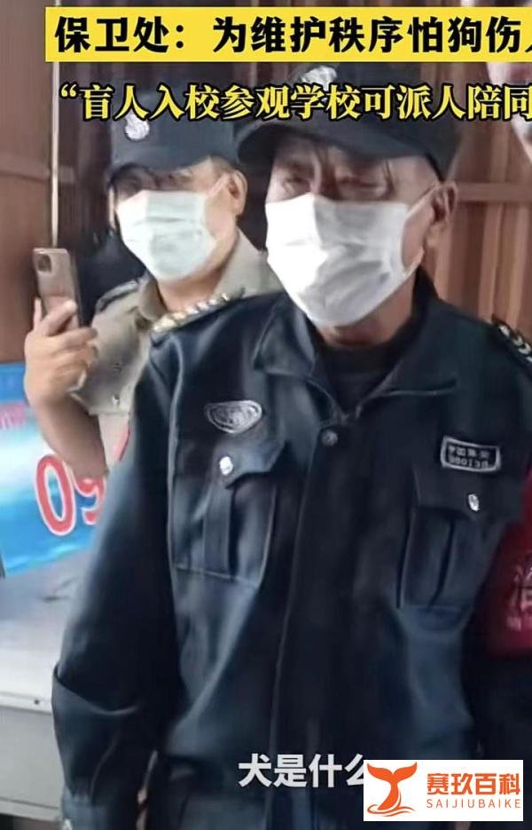 哈工大回应禁止导盲犬入内:为保护学生,确有需要可出示导盲犬证