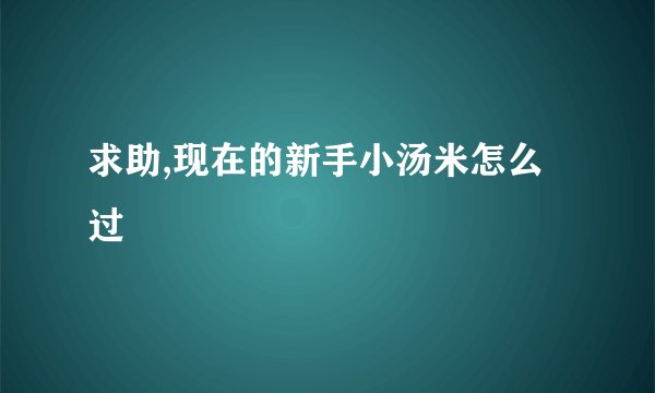 求助,现在的新手小汤米怎么过