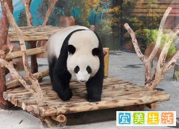 央视中秋晚会录制，3人私飞无人机！警方回应，禁飞区恐越来越多