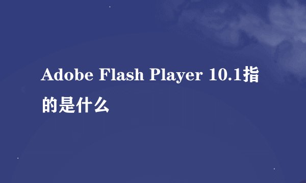 Adobe Flash Player 10.1指的是什么
