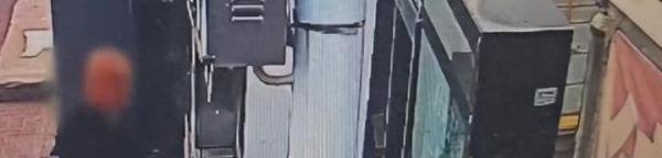 打一弹弓犯了大错！男子打死一只珠颈斑鸠被刑拘！是否太夸张？