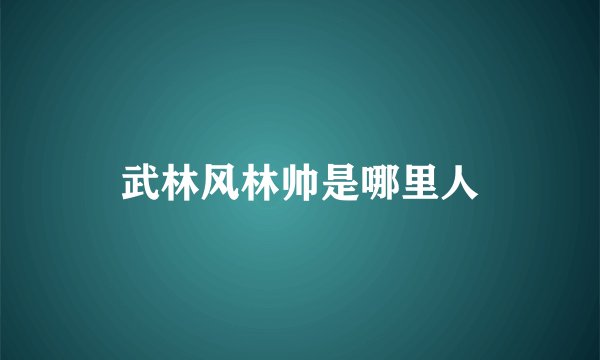 武林风林帅是哪里人