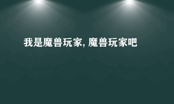 我是魔兽玩家, 魔兽玩家吧