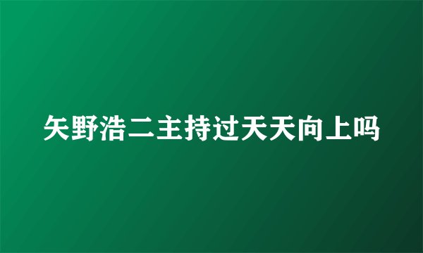 矢野浩二主持过天天向上吗