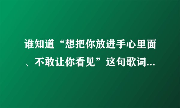 谁知道“想把你放进手心里面、不敢让你看见”这句歌词是哪首歌的啊？