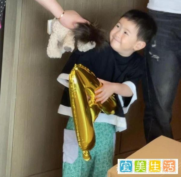 沈腾3岁儿子正面照曝光,豪宅整排落地窗显奢华,妻子备孕生虎妞