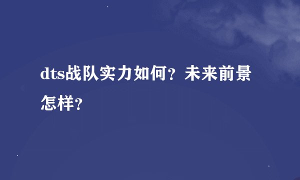 dts战队实力如何?未来前景怎样?