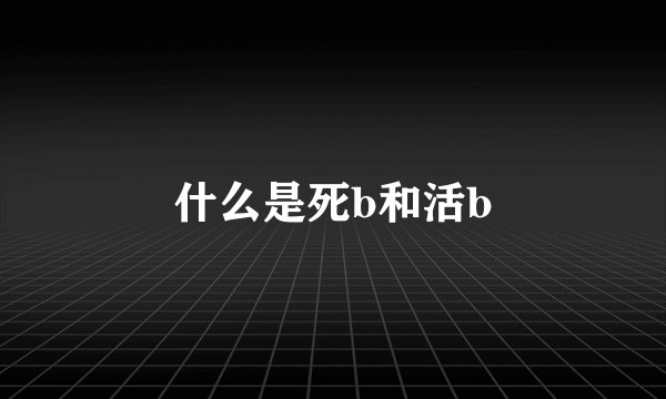 什么是死b和活b