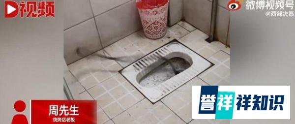 厕所突然钻出管子剧烈扭动 这是咋情况？