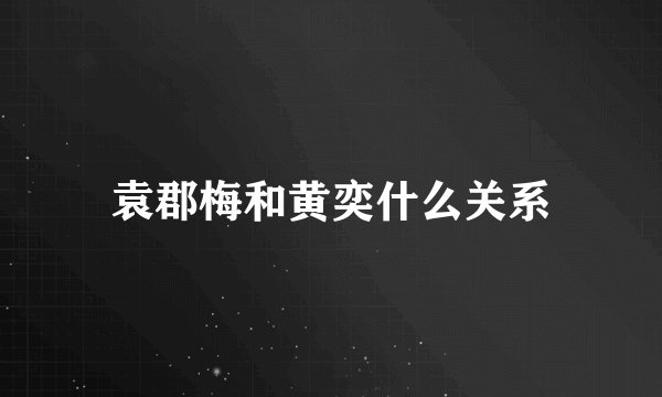 袁郡梅和黄奕什么关系