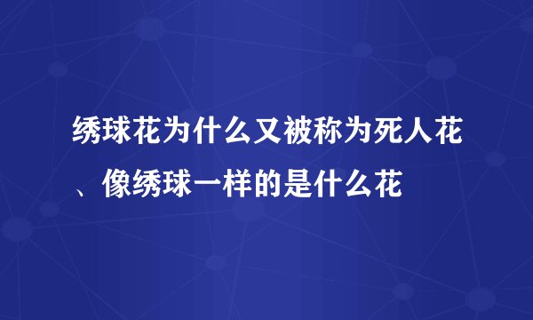 绣球花为什么又被称为死人花、像绣球一样的是什么花
