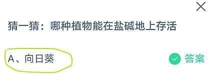 蚂蚁庄园猜一猜:哪种植物能在盐碱地上存活