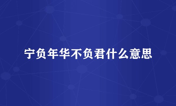 宁负年华不负君什么意思