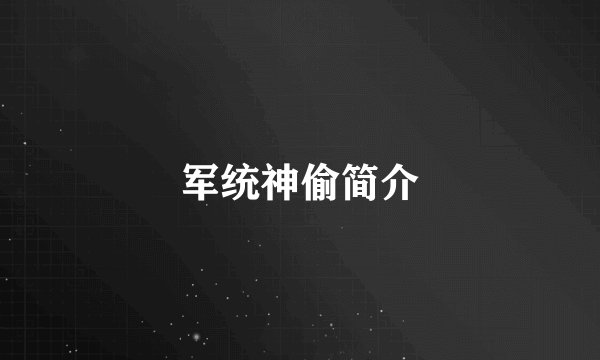 军统神偷简介
