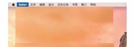 safari浏览器开启flash方法