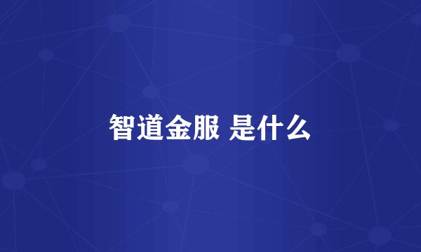 智道金服 是什么