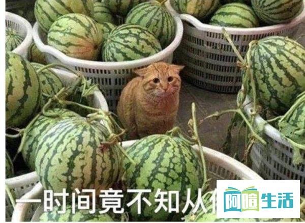 成人视频网站也遭遇数据泄露！姓名、性取向等108亿条数据曝光，含53万中国用户