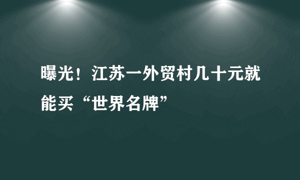 曝光！江苏一外贸村几十元就能买“世界名牌”