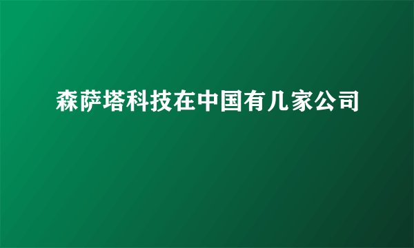 森萨塔科技在中国有几家公司