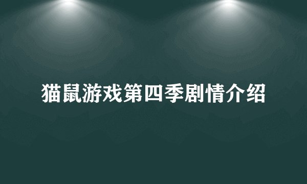 猫鼠游戏第四季剧情介绍