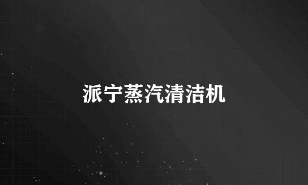 派宁蒸汽清洁机