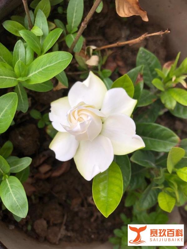 王子陶第117天——一个值得记录的日子