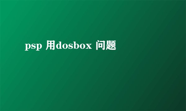 psp 用dosbox 问题