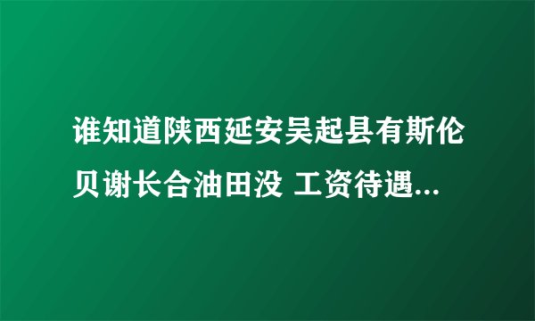 谁知道陕西延安吴起县有斯伦贝谢长合油田没 工资待遇工作时间这么样？