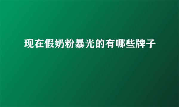 现在假奶粉暴光的有哪些牌子