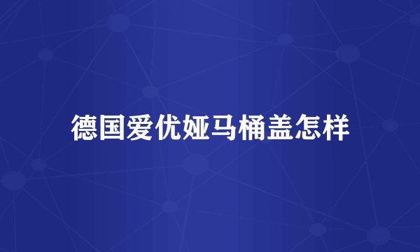 德国爱优娅马桶盖怎样