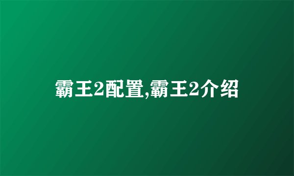 霸王2配置,霸王2介绍