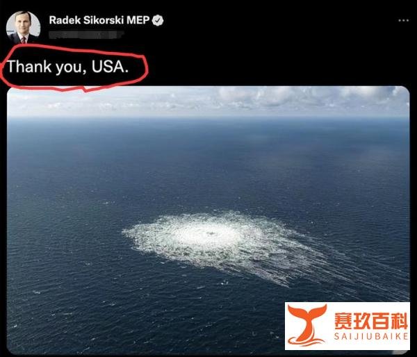 顿巴斯等四地“入俄公投”支持率99.23%、98.42%、93.11%、87.05%。