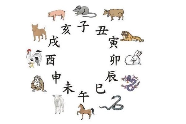 苍蝇碰壁是什么生肖?