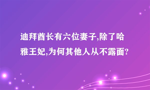 迪拜酋长有六位妻子,除了哈雅王妃,为何其他人从不露面?