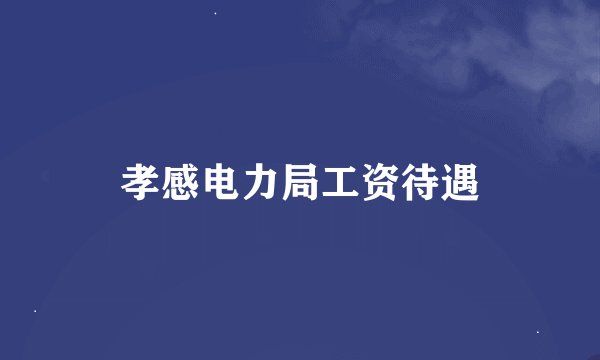 孝感电力局工资待遇
